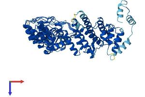FEM1B Protein (AA 1-627) (His tag)