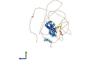 Protein Structure (PS) image for HNF1 Homeobox B (HNF1B) (AA 1-557) protein (His tag) (ABIN7548332)