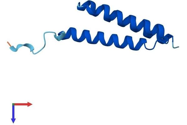 LYRM2 Protein (AA 1-88) (His tag)