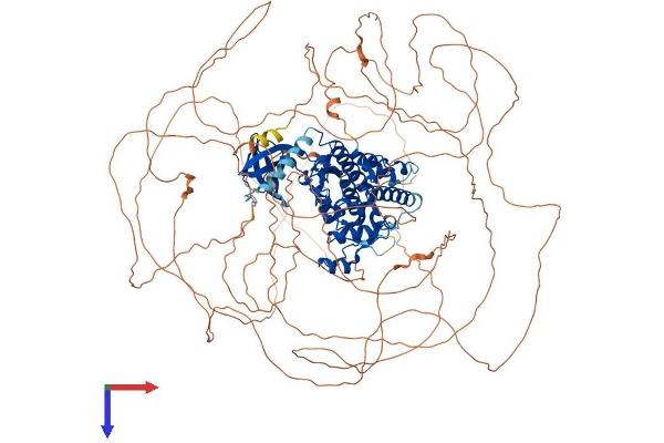 HIPK2 Protein (AA 1-1196) (His tag)