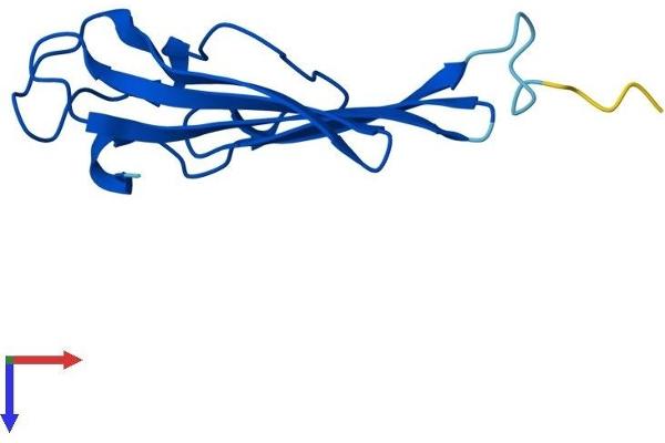 CHURC1 Protein (AA 1-112) (His tag)