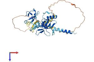 AlphaFold protein structure predicition of Human Recombinant ZCWPW2 Protein, UniprotID Q504Y3