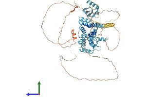Protein Structure (PS) image for Paraneoplastic Ma Antigen Family Member 5 (PNMA5) (AA 1-618) protein (His tag) (ABIN7557430)