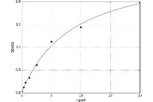 Cysteinyl Leukotriene Receptor 2 (CYSLTR2) ELISA Kit