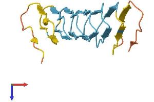 AlphaFold protein structure predicition of Human Recombinant KRTAP12-2 Protein, UniprotID P59991