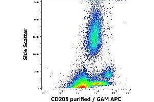 Flow cytometry surface staining pattern of human peripheral whole blood stained using anti-human CD205 (HD30) purified antibody (concentration in sample 0,6 μg/mL, GAM APC). (LY75/DEC-205 Antikörper)