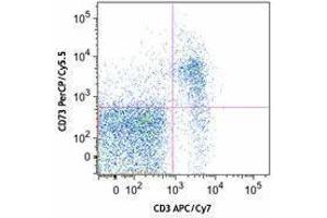 Flow Cytometry (FACS) image for anti-5'-Nucleotidase, Ecto (CD73) (NT5E) antibody (PerCP-Cy5.5) (ABIN2660156) (CD73 Antikörper  (PerCP-Cy5.5))