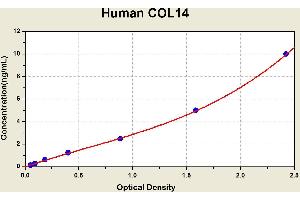 Diagramm of the ELISA kit to detect Human COL14with the optical density on the x-axis and the concentration on the y-axis.