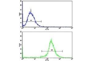 Flow Cytometry (FACS) image for anti-Nestin (NES) (AA 1389-1416) antibody (ABIN3031961)