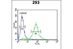 Flow cytometric analysis of 293 cells (right histogram) compared to a negative control cell (left histogram). (SETD8 Antikörper  (AA 220-249))