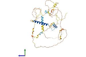 AlphaFold protein structure predicition of Human Recombinant FAM181B Protein, UniprotID A6NEQ2