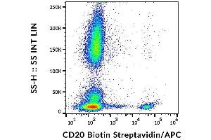 Surface staining of human peripheral blood cells with anti-human CD20 (LT20) biotin, streptavidin-APC.