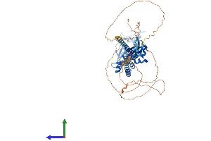 Protein Structure (PS) image for Fragile X Mental Retardation 1 (FMR1) (AA 1-614) protein (His tag) (ABIN7563192)