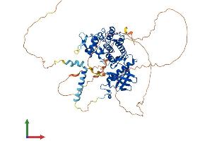 Protein Structure (PS) image for Dual-Specificity tyrosine-(Y)-phosphorylation Regulated Kinase 1B (DYRK1B) (AA 1-629) protein (His tag) (ABIN7553753)