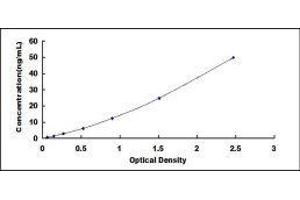 Adiponectin Receptor 2 ELISA Kit