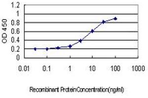 Detection limit for recombinant GST tagged ATP2B1 is approximately 0. (ATP2B1 Antikörper  (AA 1-97))