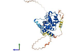 Protein Structure (PS) image for ELMO/CED-12 Domain Containing 3 (ELMOD3) (AA 1-381) protein (His tag) (ABIN7547321)