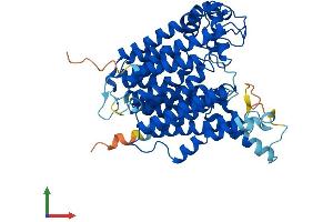 AlphaFold protein structure predicition of Mouse Recombinant Alg8 Protein, UniprotID Q6P8H8