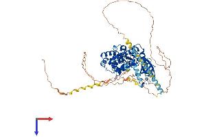 SRPK2 Protein (AA 1-681) (His tag)