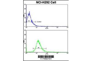 Flow cytometric analysis of NCI-H292 cells using DPT Antibody (bottom histogram) compared to a negative control cell (top histogram).