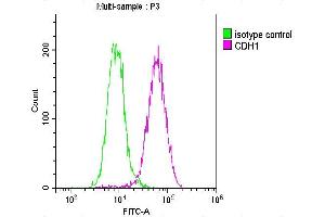 Flow Cytometry (FACS) image for anti-Cadherin 1, Type 1, E-Cadherin (Epithelial) (CDH1) (AA 155-707) antibody (ABIN7146194)