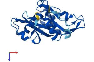 NUDT16 Protein (AA 1-195) (His tag)