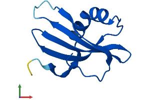 AlphaFold protein structure predicition of Mouse Recombinant Csta Protein, UniprotID P56567 (CSTA Protein (AA 1-97) (His tag))