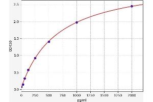 Fibulin 5 ELISA Kit