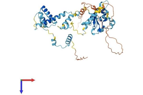RBM41 Protein (AA 1-413) (His tag)