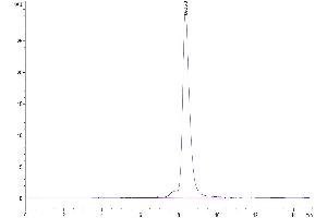 The purity of Mouse B7-H2 is greater than 95 % as determined by SEC-HPLC. (ICOSLG Protein (AA 47-279) (His tag))