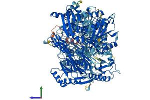 Protein Structure (PS) image for 5-Oxoprolinase (ATP-Hydrolysing) (OPLAH) (AA 1-1288) protein (His tag) (ABIN7564609)