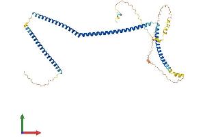 Protein Structure (PS) image for Coiled-Coil Domain Containing 83 (CCDC83) (AA 1-413) protein (His tag) (ABIN7553047)