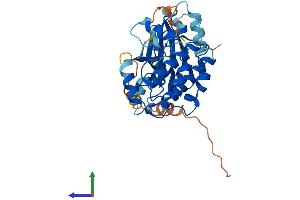 Protein Structure (PS) image for Pregnancy Up-Regulated Non-Ubiquitously Expressed CaM Kinase (PNCK) (AA 1-343) protein (His tag) (ABIN7561797)