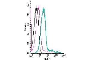 Cell surface detection of ENPP1 by indirect flow cytometry in live intact human  monocytic leukemia cell line: + goat-anti-rabbit-APC. (ENPP1 Antikörper  (Extracellular))