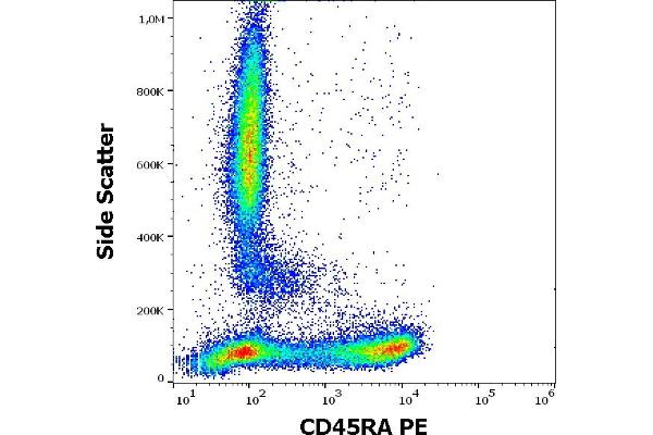 CD45RA Antikörper  (PE)