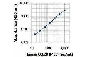 ELISA image for anti-Chemokine (C-C Motif) Ligand 28 (CCL28) antibody (ABIN2664098) (CCL28 Antikörper)