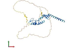 AlphaFold protein structure predicition of Human Recombinant TRIM52 Protein, UniprotID Q96A61