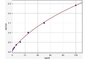 CYB561 ELISA Kit