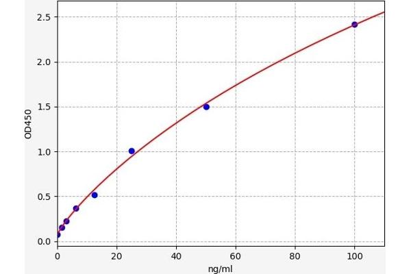 CYB561 ELISA Kit