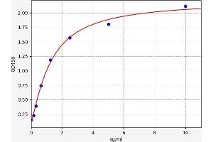 ELISA image for Solute Carrier Family 2 (Facilitated Glucose Transporter), Member 4 (SLC2A4) ELISA Kit (ABIN6970316)