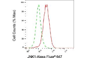 Flow cytometric analysis of JNK1 expression in C2C12 cells using JNK1 antibody (ABIN7799457), 1:2,000). (Rekombinanter JNK Antikörper)