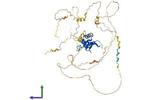 Protein Structure (PS) image for Forkhead Box C2 (MFH-1, Mesenchyme Forkhead 1) (FOXC2) (AA 1-501) protein (His tag) (ABIN7547777)