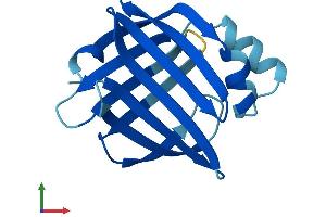 Protein Structure (PS) image for Fatty Acid Binding Protein 9, Testis (FABP9) (AA 1-132) protein (His tag) (ABIN7562195)