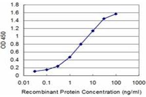 Detection limit for recombinant GST tagged MDH2 is approximately 0. (MDH2 Antikörper  (AA 134-246))