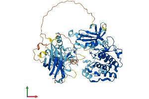 Protein Structure (PS) image for Protein Kinase C, eta (PRKCH) (AA 1-683) protein (His tag) (ABIN7562975)