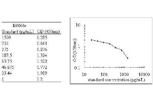 ELISA image for Parathyroid Hormone (PTH) ELISA Kit (ABIN579027) (PTH ELISA Kit)