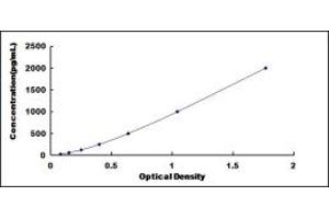 Typical standard curve (GCP2 ELISA Kit)