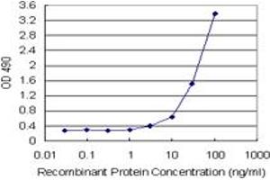 Sandwich ELISA detection sensitivity ranging from 1 ng/mL to 100 ng/mL. (HMGB2 (Human) Matched Antibody Pair)