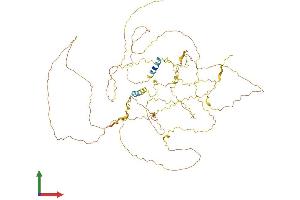 Protein Structure (PS) image for APC Membrane Recruitment Protein 2 (AMER2) (AA 1-671) protein (His tag) (ABIN7551999)