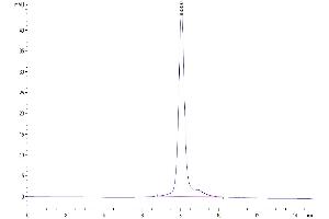 The purity of Mouse TPO/Thyroid Peroxidase is greater than 95 % as determined by SEC-HPLC. (Thyroperoxidase Protein (AA 32-834) (His tag))